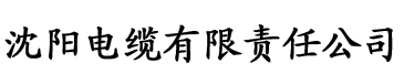 碧荷po电缆厂logo